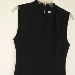 Elegant Black Sleeveless Dress